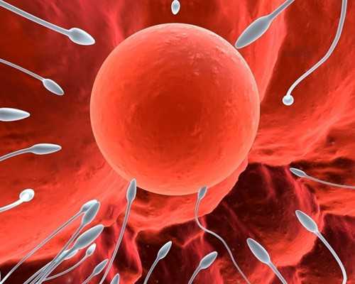 云南代孕套餐哪家好|做试管婴儿手术如何取卵