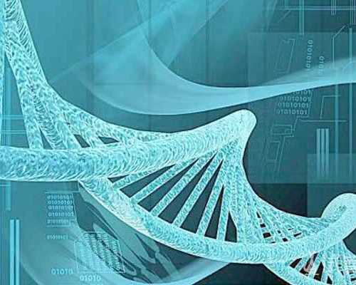 昆明试管好还是温州好,昆明哪家医院做试管好