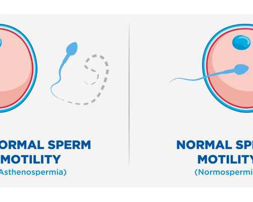 昆明正规代怀价格,做试管哪里医院做的好,昆明做试管好医院