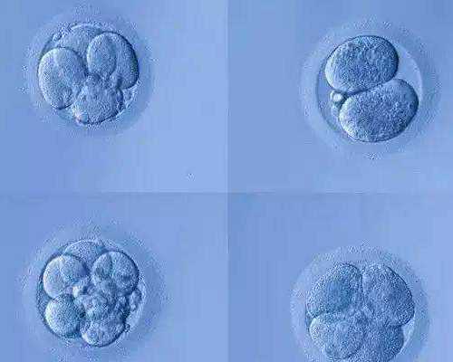 昆明哪间医院做试管最(昆明试管正规医院)