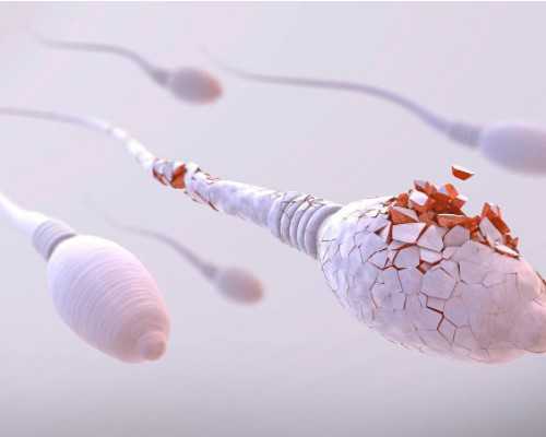 私人无锡代妈价格表 无锡市妇幼保健院 ‘孕24周双顶径与股骨长差1.2cm女孩几率