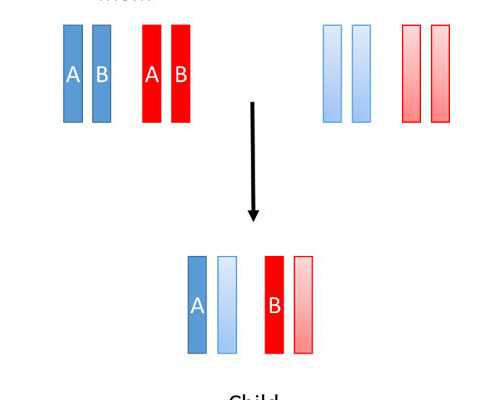 云南供卵助孕案例|重庆助孕机构三代试管婴儿价格是多少？
