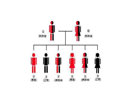 助力开学季 从一杯澳牧进口儿童牛奶开始