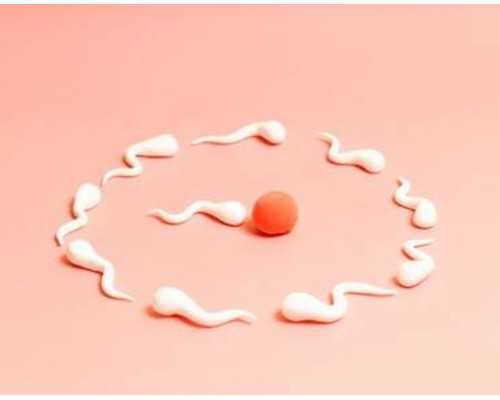 试管婴儿辅助生殖助孕，多囊卵巢做试管婴儿都有哪些注意事项-报告单怎么看