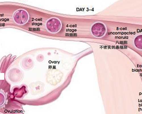 昆明助孕机构有哪些？昆明助孕中心医院排名公布