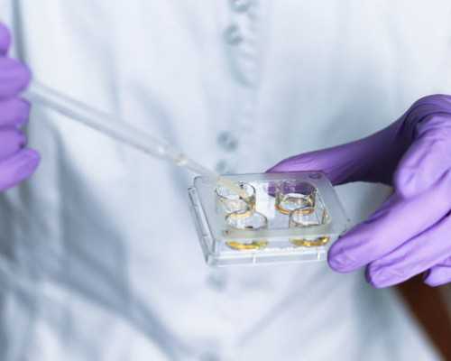 厦门40多岁供卵试管 厦门第一医院做试管怎么样?试管婴儿健康吗? ‘怀孕4