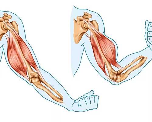 无锡代孕谁做过吗 无锡妇幼试管婴儿成功率高吗? ‘b超男孩子和胎盘显示图’