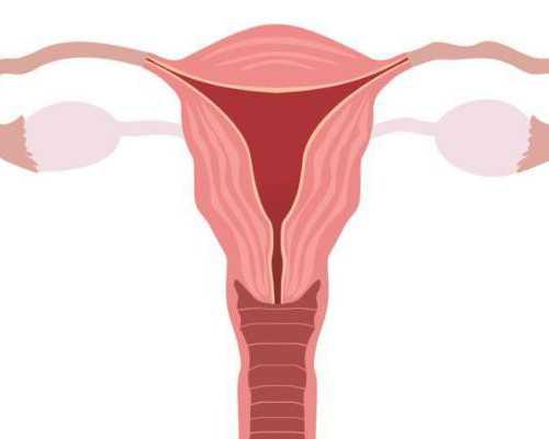 昆明代孕价格查询,北京天安中医院北京天安皮肤病医院官网-四川省人民医院试
