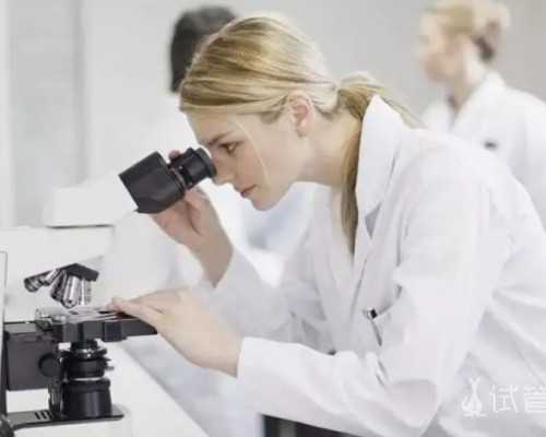 上海个人怎样找人代怀 上海九院和集爱做试管哪个好？哪个医院做试管成功率