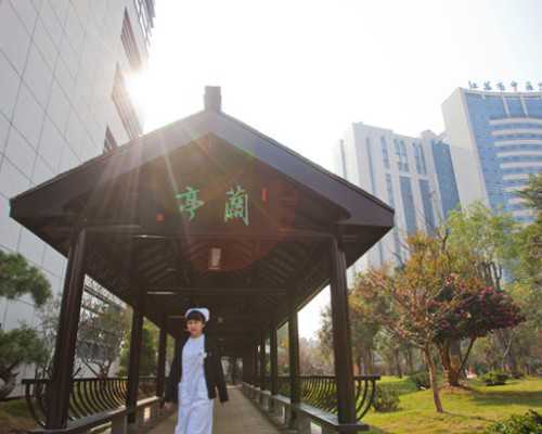 昆明代孕妈一般什么价位_【第三代试管婴儿】第三代试管婴儿费用以及补助政