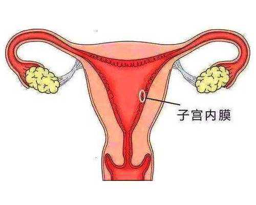 昆明将对新生儿性别比高的医疗机构重点监督,昆明11月本土无症状已超10万,疫