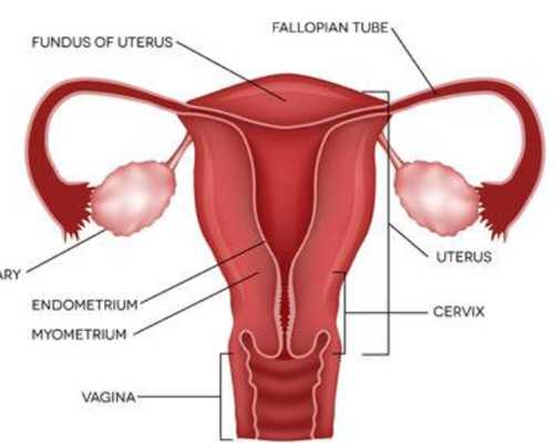 昆明代孕行业暗流涌动,北京三代供供卵试管婴儿医院排名是多少？有供供卵试