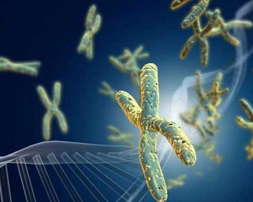 云南有代生小孩的吗|石家庄供卵三代试管婴儿医院排名?附试管助孕医院名单