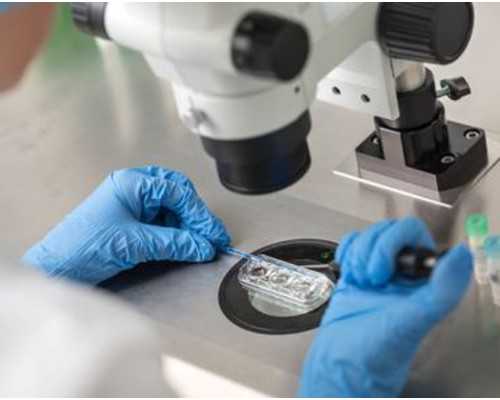 云南供卵包生|石家庄供卵试管助孕机构排名火热出炉，2023
供卵试管成功率及费