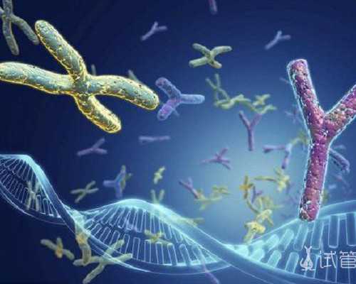 昆明哪间医院做试管最(昆明试管正规医院)