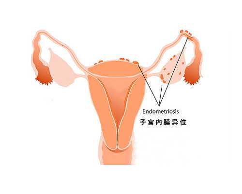 合肥包男孩包成功 合肥105医院试管成功率高么？试管成功需要具备哪些条件？