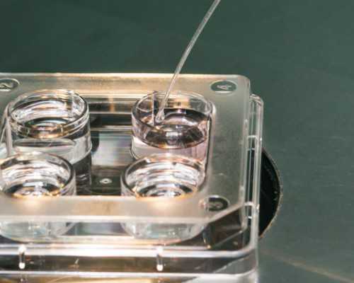 昆明代孕真实吗,陕西试管婴儿补贴怎么申请?去陕西做试管婴儿有补贴吗?_上