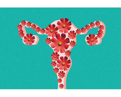 昆明做试管婴儿代孕多少钱,长治和平医院试管婴儿做试管婴儿前要做好哪些工