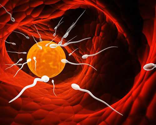 昆明供卵手术 昆明公办生殖中心试管医疗费主要包含部分 ‘怀男孩女孩酒精测