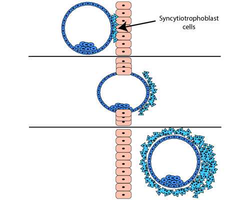 昆明代孕妈妈公司,昆明试管婴儿哪家技术好,昆明哪家试管婴儿好