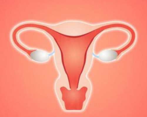 天天晚上遗精是什么原因