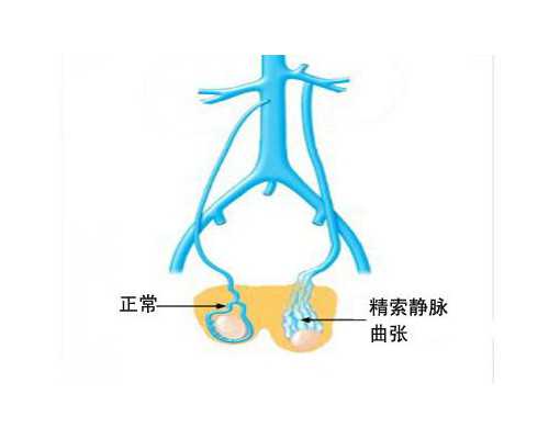 昆明哪间医院做试管最(昆明试管正规医院)