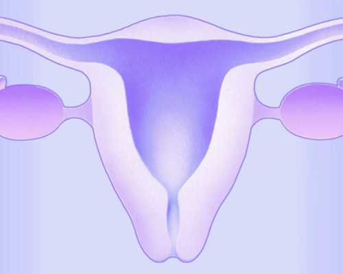 云南代生宝宝价钱|石家庄没有卵巢可以做试管婴儿吗,本地助孕费用