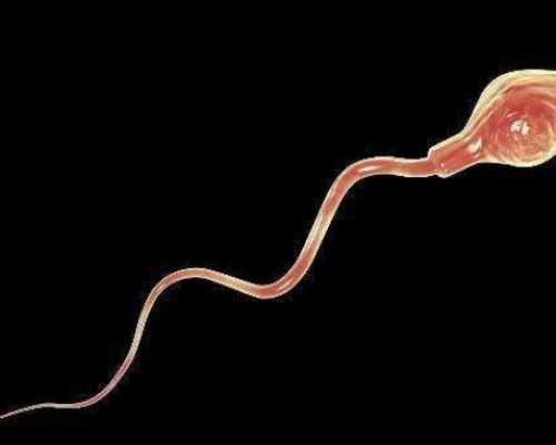 昆明有喜试管代怀|2023年在昆明做试管婴儿费用多少钱（附费用明细）