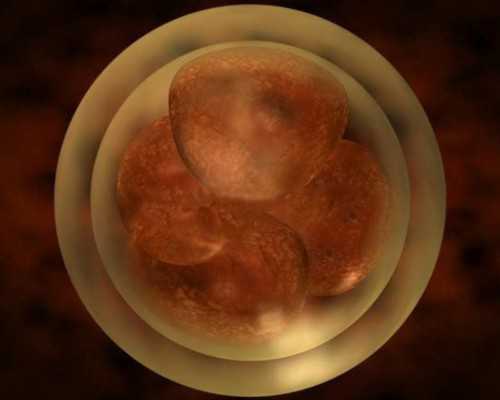 年轻父母须防月嫂后遗症