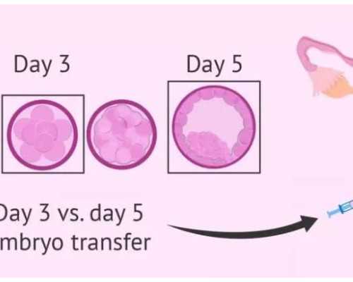 昆明代孕美女,泰国试管婴儿能避免畸形吗?如何预防胎儿畸形?_卵子的质量影